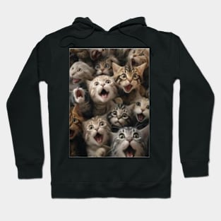 Funny Cat Faces Hoodie